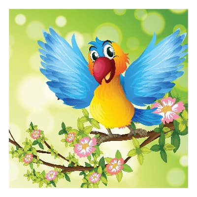 The Rainbow Bird - African Children's Book Cover