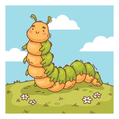 The Beautiful Caterpillar of Paradise - African Children's Book Cover