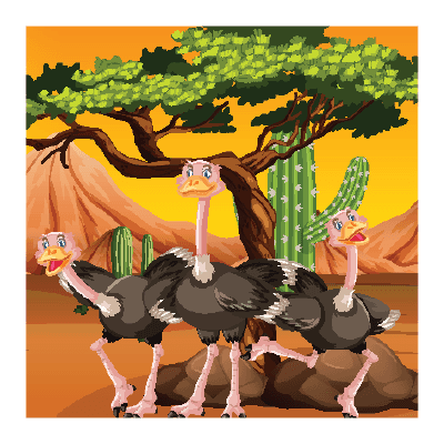 The Lion and the Ostrich Chicks - African Children's Book Cover