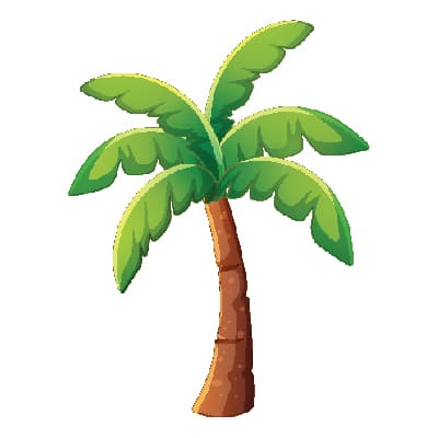 The Dancing Palm Tree - African Children's Book Cover