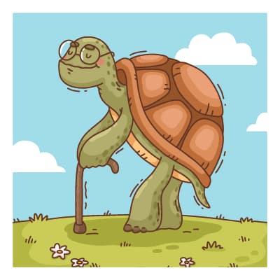 The Tortoise and the Hare - African Children's Book Cover